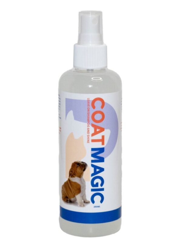 CoatMagic-Leave-In-Manuka-Honey-Pet-Shampoo-Bee-Confident