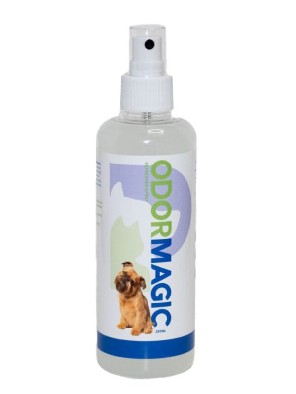 OdorMagic-Manuka-Honey-Pet-Refresher-Spray-Bee-Confident.