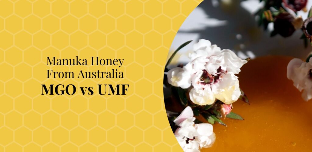 Manuka Honey From Australia MGO vs UMF-Bee-Confident